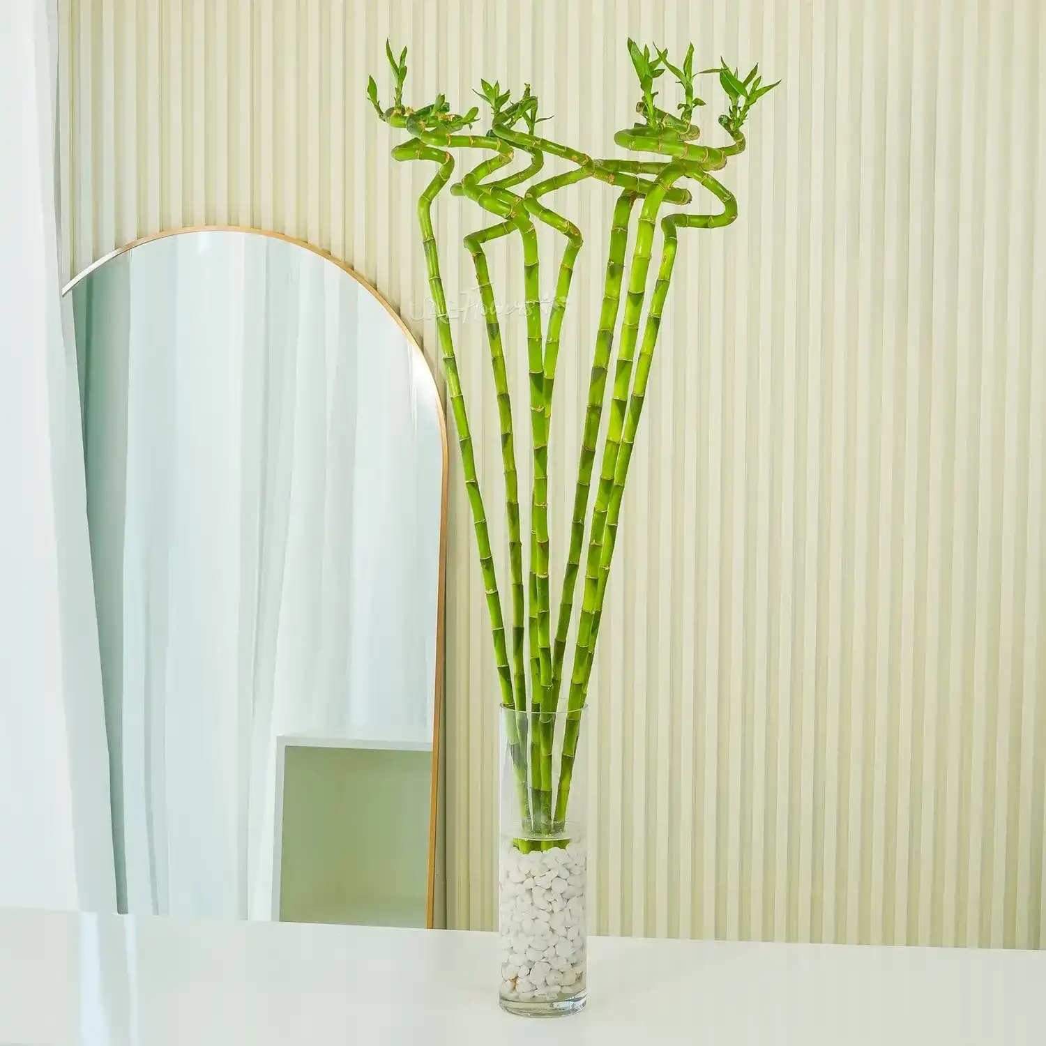 Spiral Bamboo – 90 mm